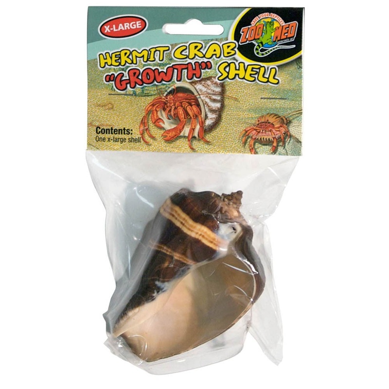 Zoo Med Hermit Crab Growth Shell - Extra Large