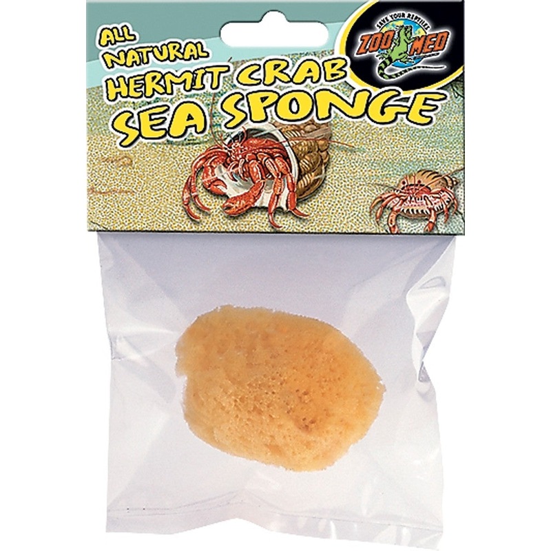 Zoo Med Hermit Crab Sea Sponge