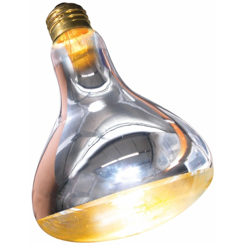 Zoo Med Repti Basking Spot Lamp - 250 W