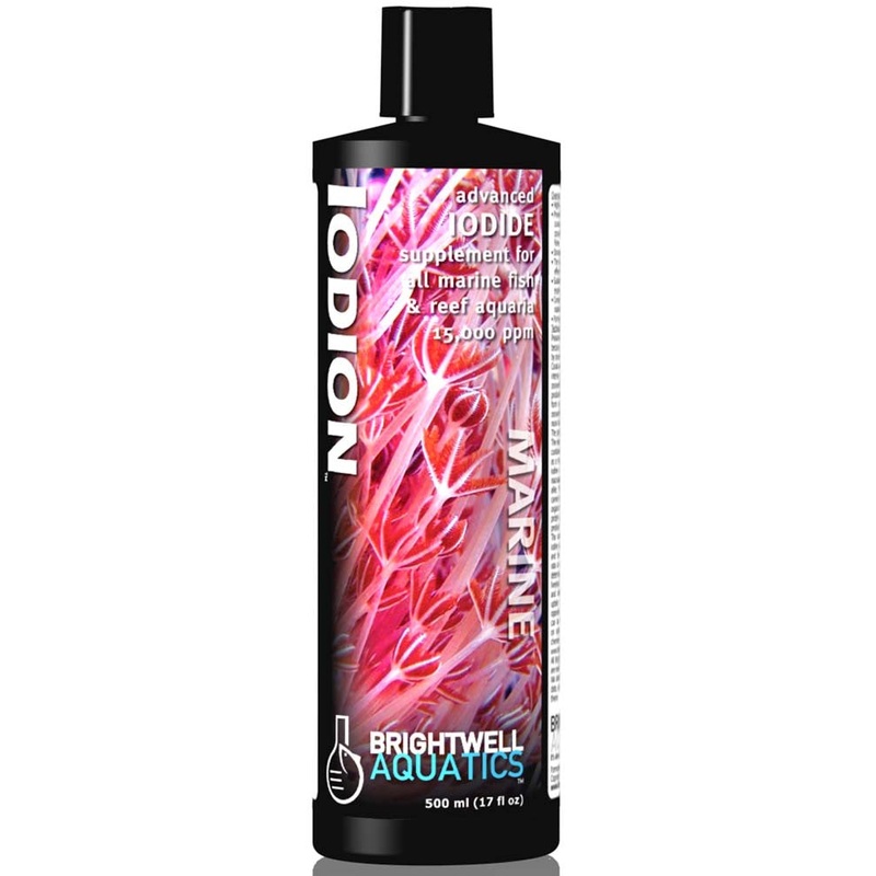 Brightwell Iodion Advanced Iodide Supplement 17oz