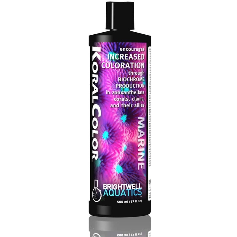 Brightwell KoralColor Encourages Increased Coloration in Corals 17oz