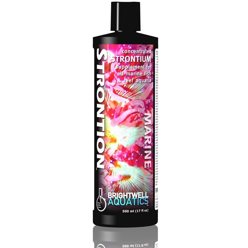 Brightwell Strontion Concentrated Strontium Supplement 17oz