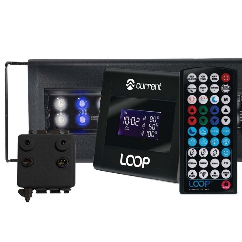 Current USA LOOP Orbit IC LED Light - 18-24 in