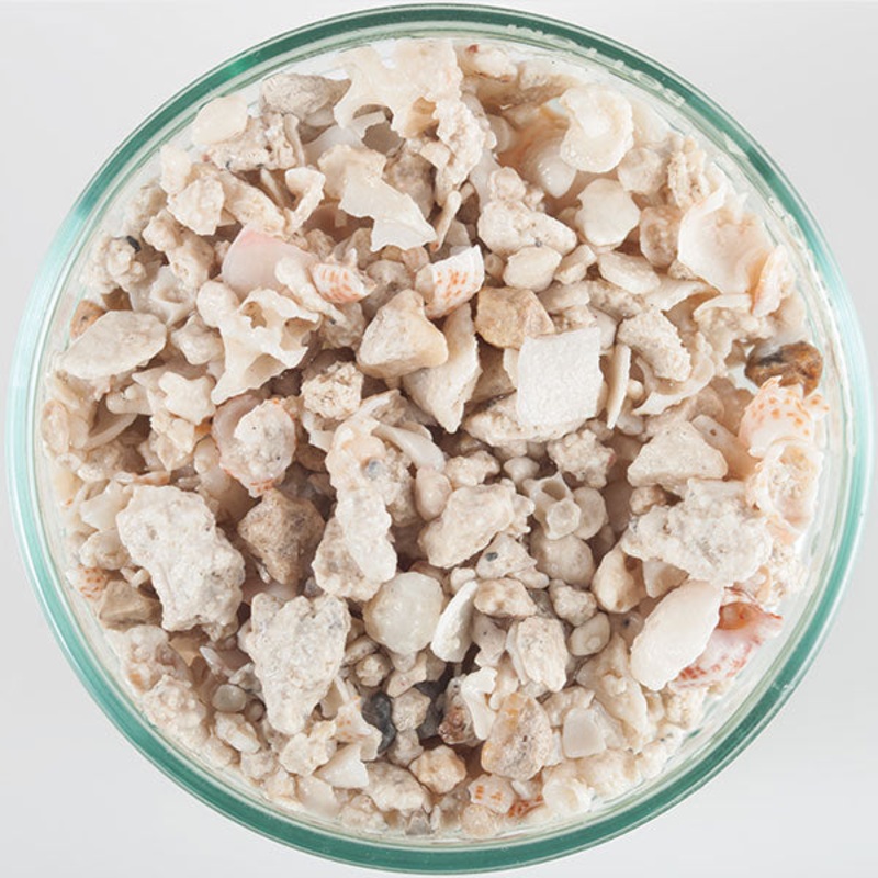 CaribSea Coraline Florida Crushed Coral - 40lb