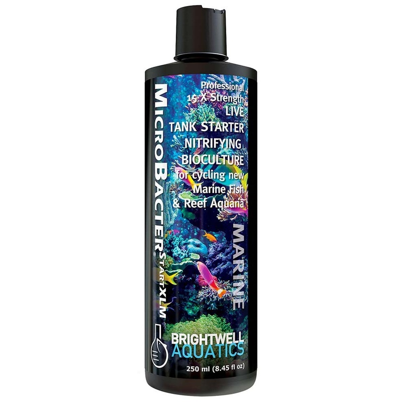 Brightwell Aquatics MicroBacter Start XLM - 250ml