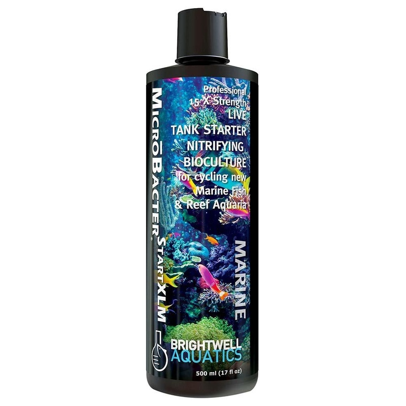 Brightwell Aquatics MicroBacter Start XLM - 500ml