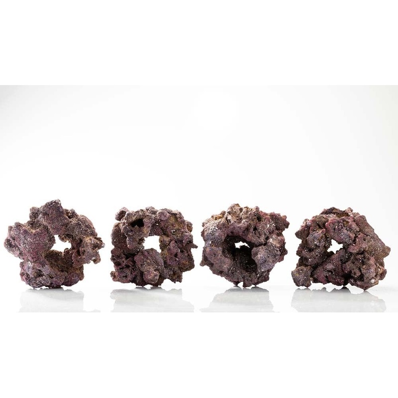 CaribSea Caribbean LifeRock Donuts - 4 Pack