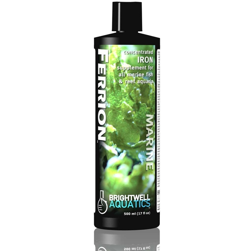 Brightwell Ferrion Concentrated Iron Supplement 17oz