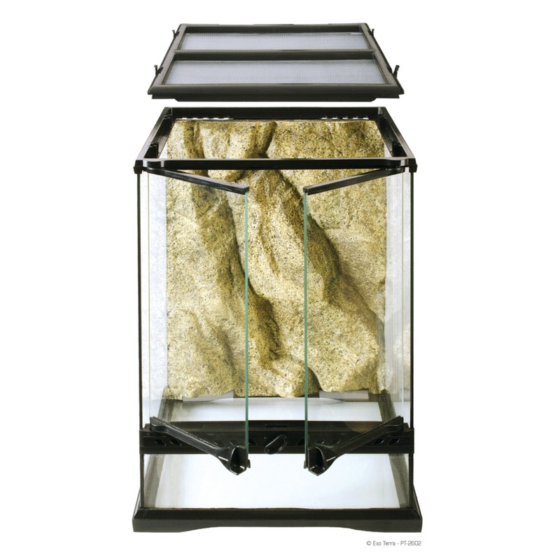 Exo Terra Mini Tall Terrarium - 30 x 30 x 45cm, 12in x 12in x 18in