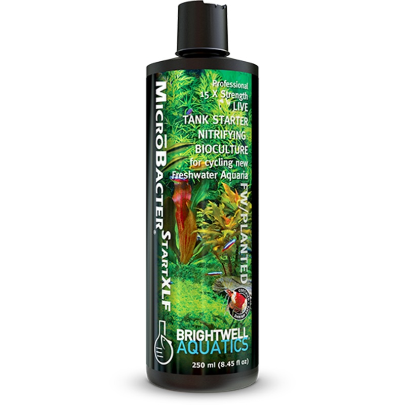 Brightwell Aquatics MicroBacter Start XLF - 250ml