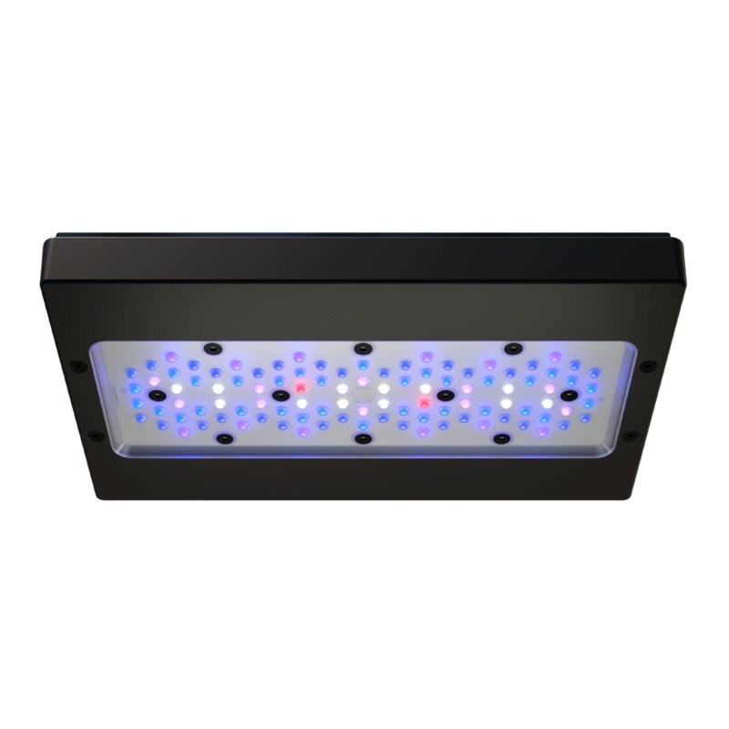 EcoTech Marine Radion XR30 Blue G6 Fixture - 205W