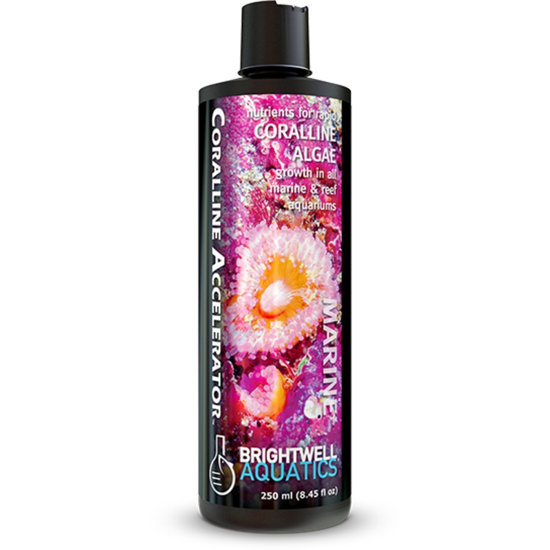 Brightwell Aquatics Coralline Accelerator - 500ml