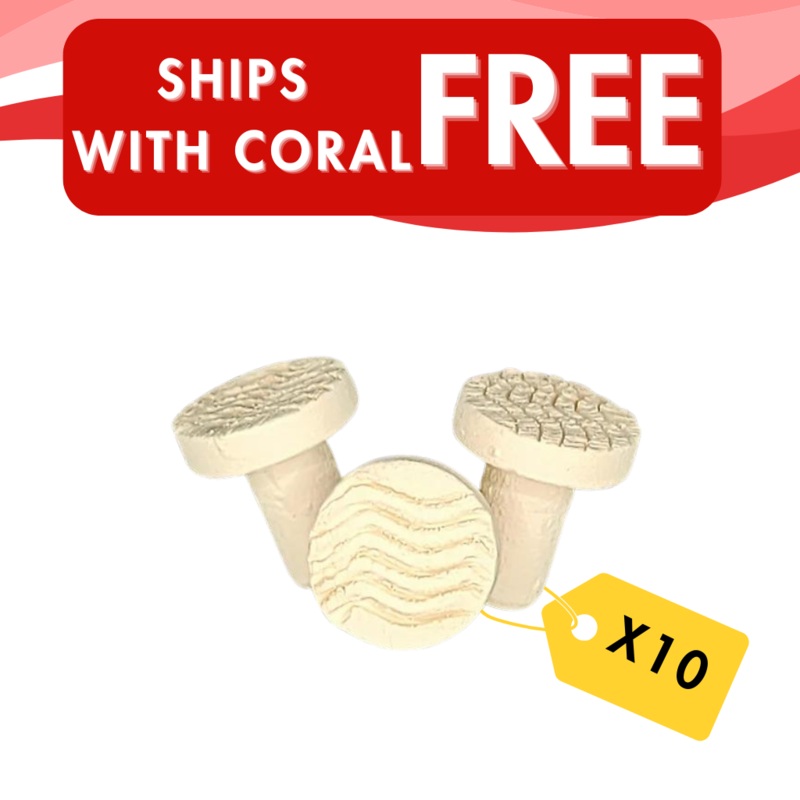 Premium Ceramic Coral Frag Plugs  10 Pack