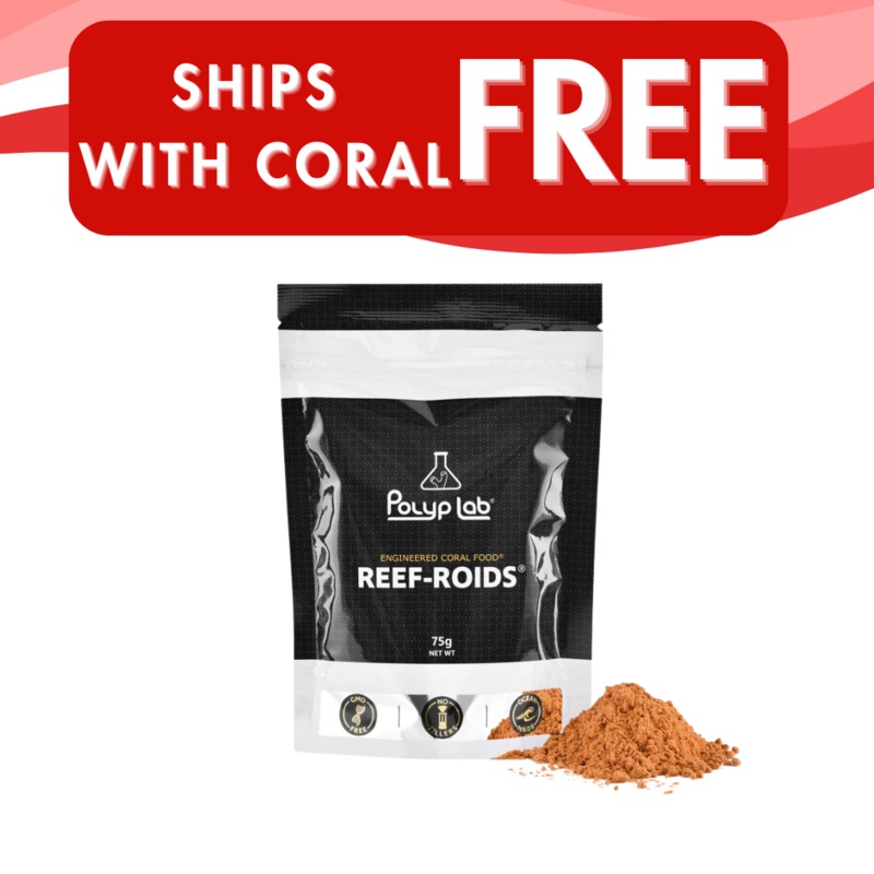 Reef-Roids 75g