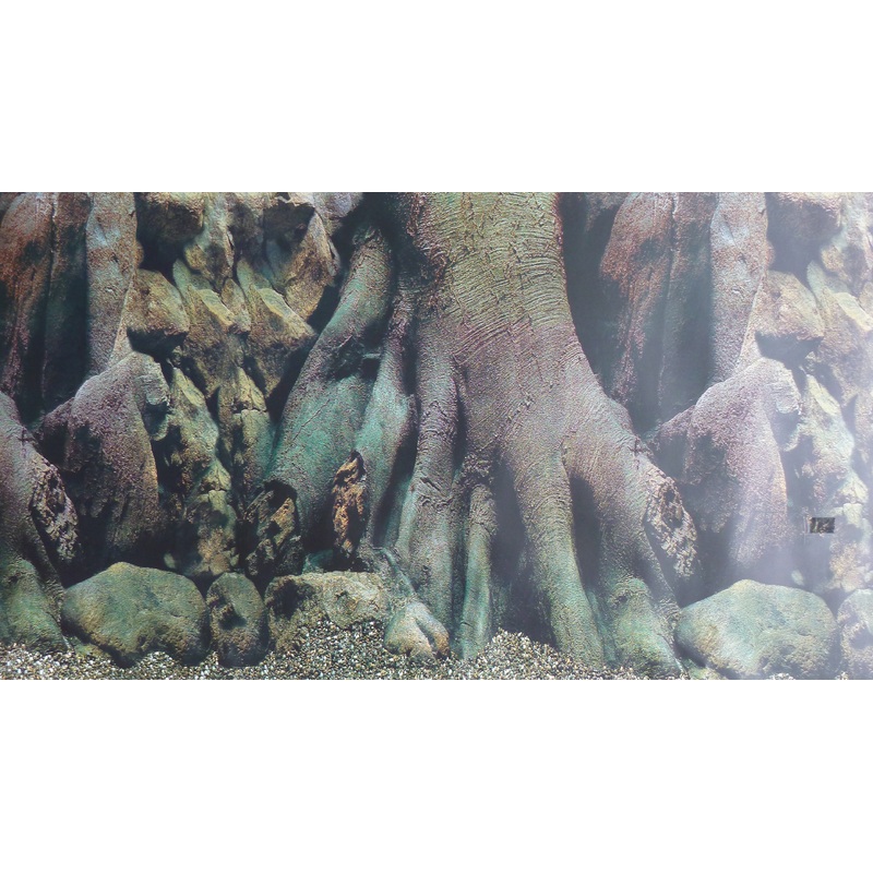 Background scene Tree root/planted aquarium 60cm high