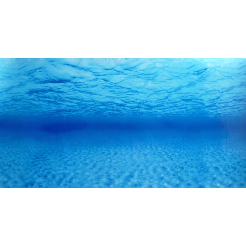 Background scene Undersea/Rock & wood aquarium 48cm high