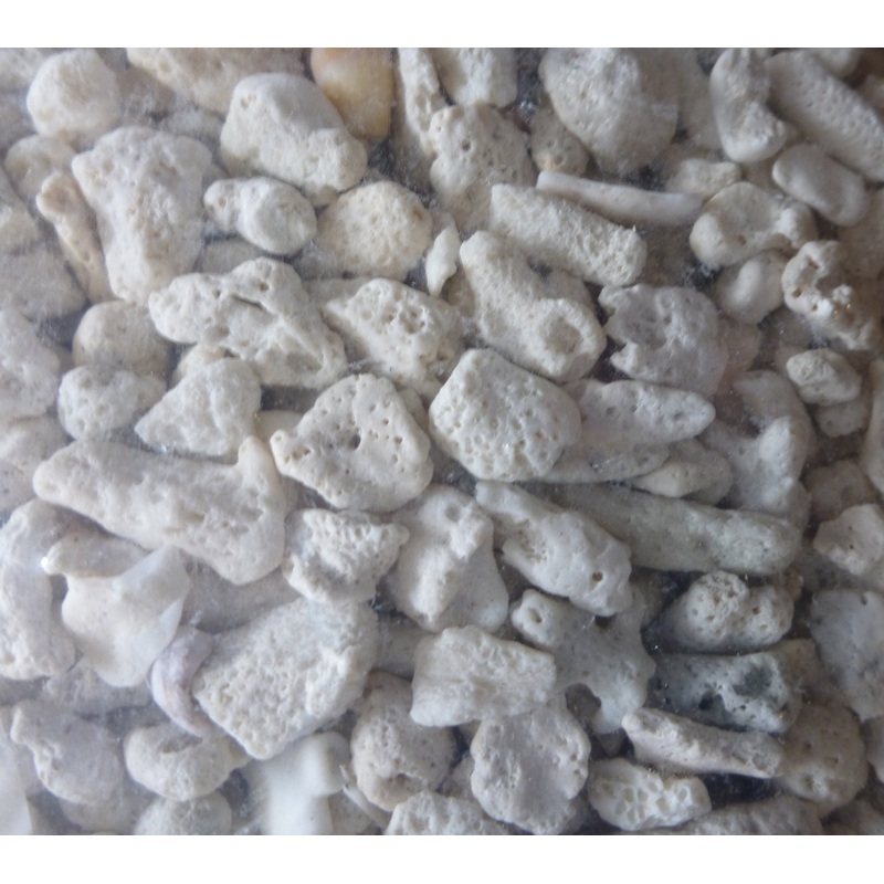 Coral Sand 5-8cm 10kg