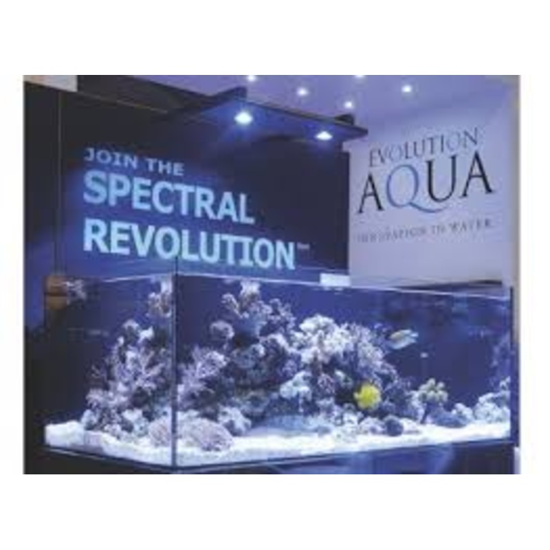 Kessil AP 700 Tuna Blue LED light