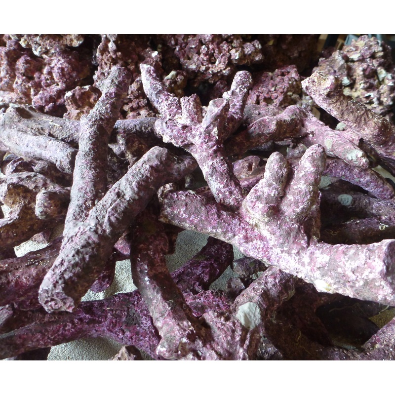 Real Reef Rock Branching  per kg