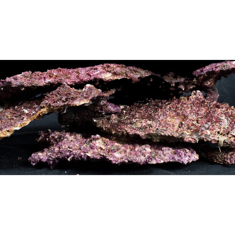 Real Reef Rock shelf  per kg