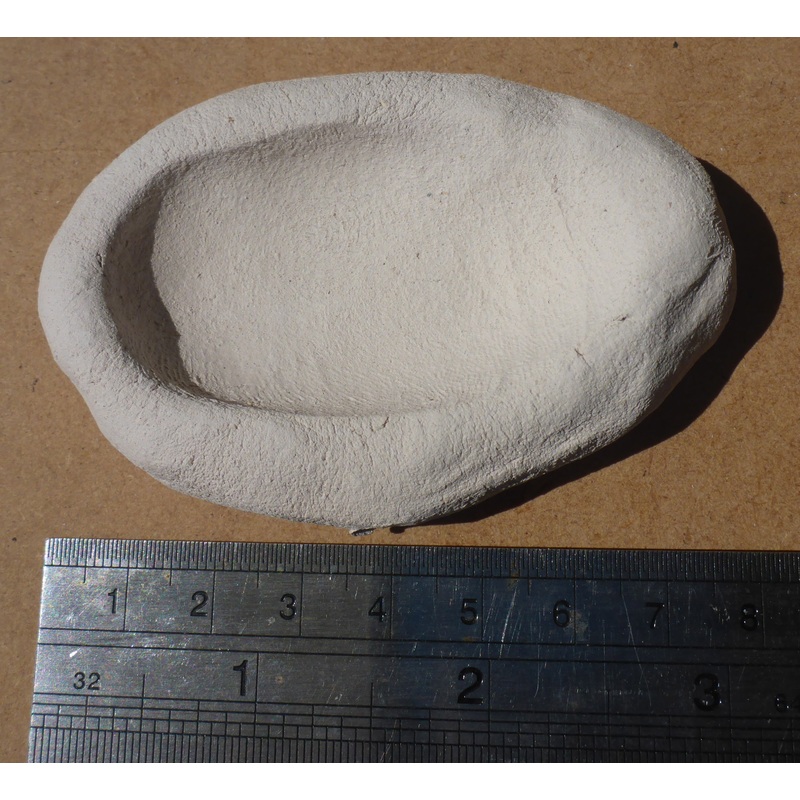 Alternative Reef Small Clam holders