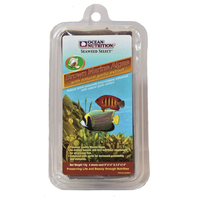 Ocean Nutrition Brown Marine Algae (Seaweed) 12g