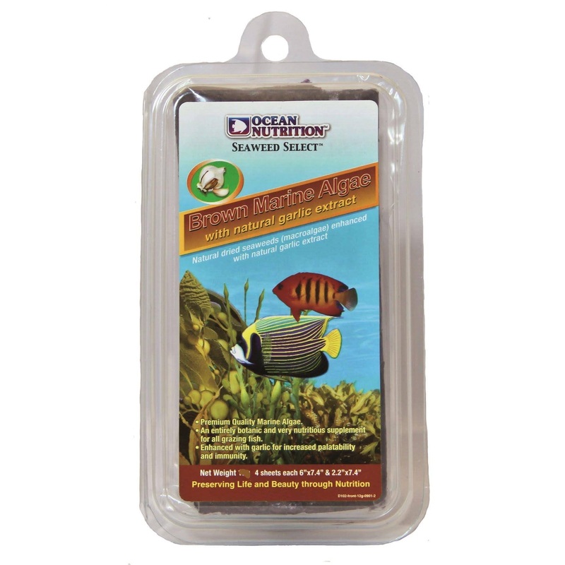 Ocean Nutrition Brown Marine Algae (Seaweed) 30g