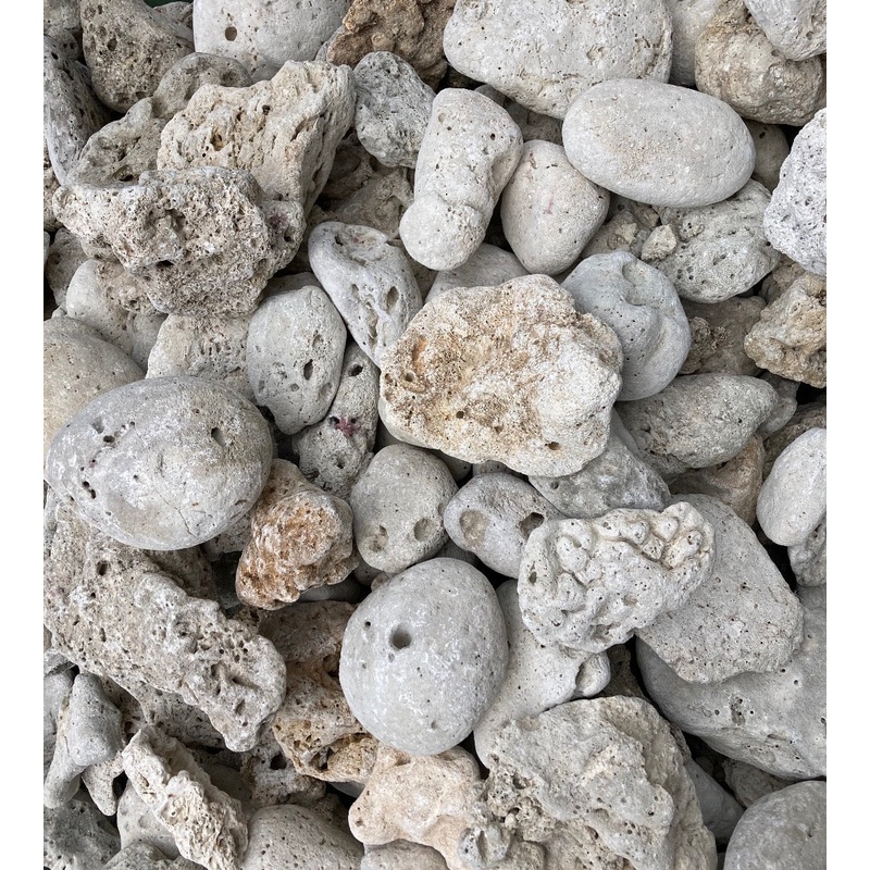 FIJI CORAL ROCK PER KG