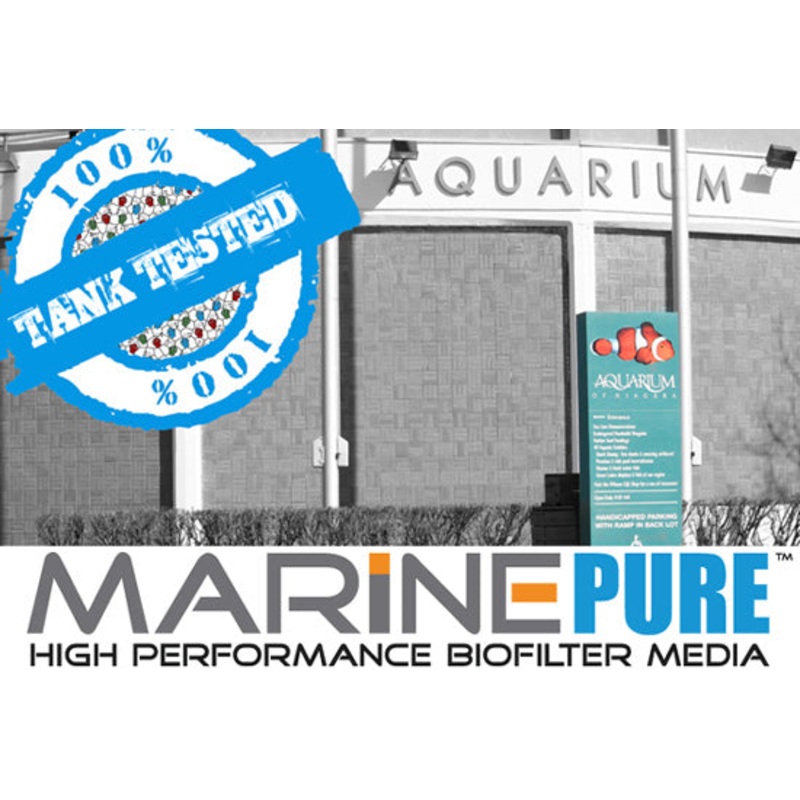MarinePure Block 8x8x4"