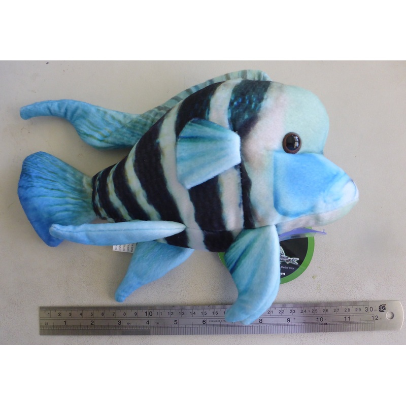 Plush Frontosa
