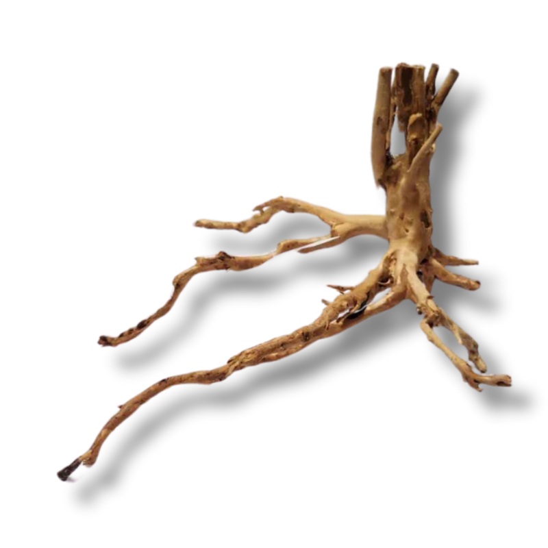 Gold Wood Small
