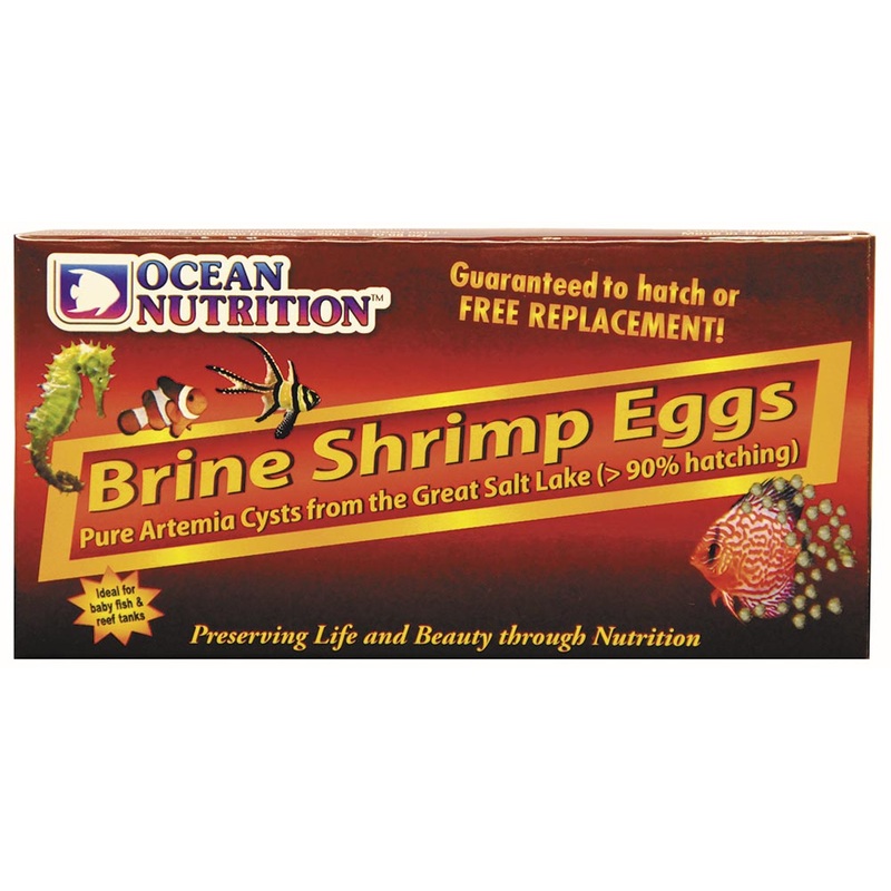 Ocean Nutrition Brine Shrimp Eggs Box 20g