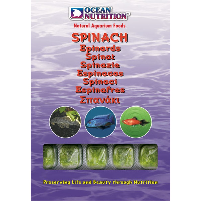 Ocean Nutrition Frozen Spinach 100g