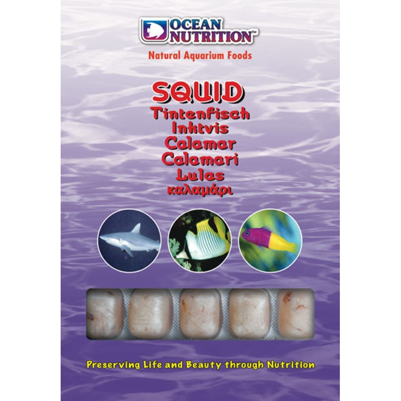 Ocean Nutrition Frozen Squid 100g