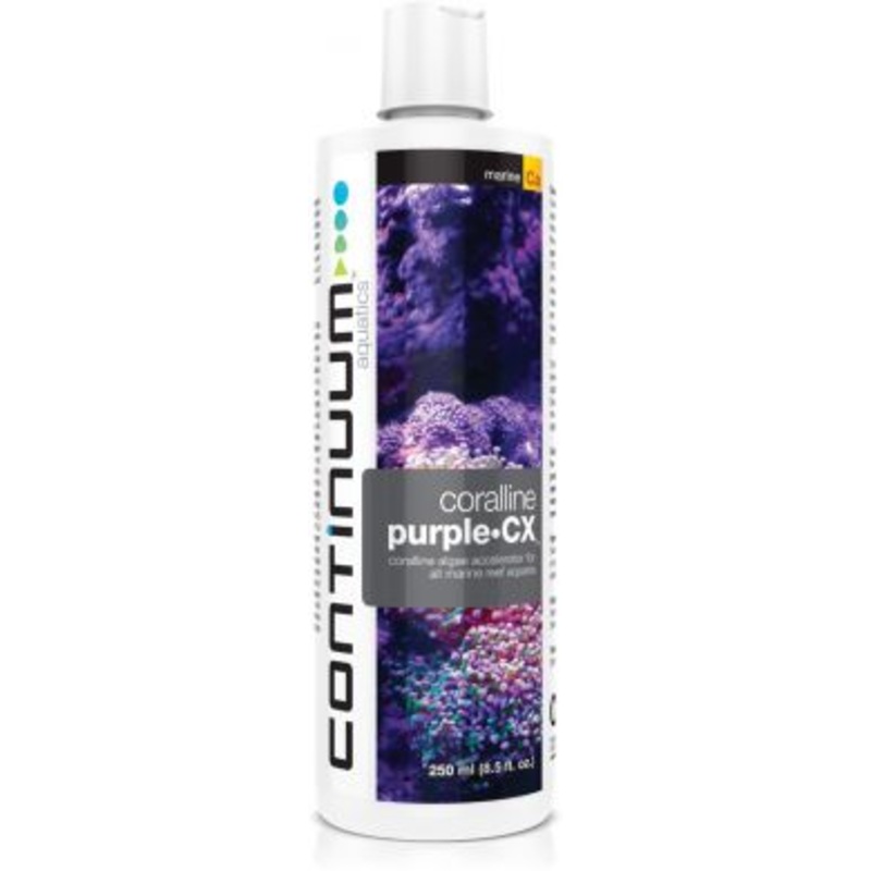 Continuum Coralline Purple CX 250ml