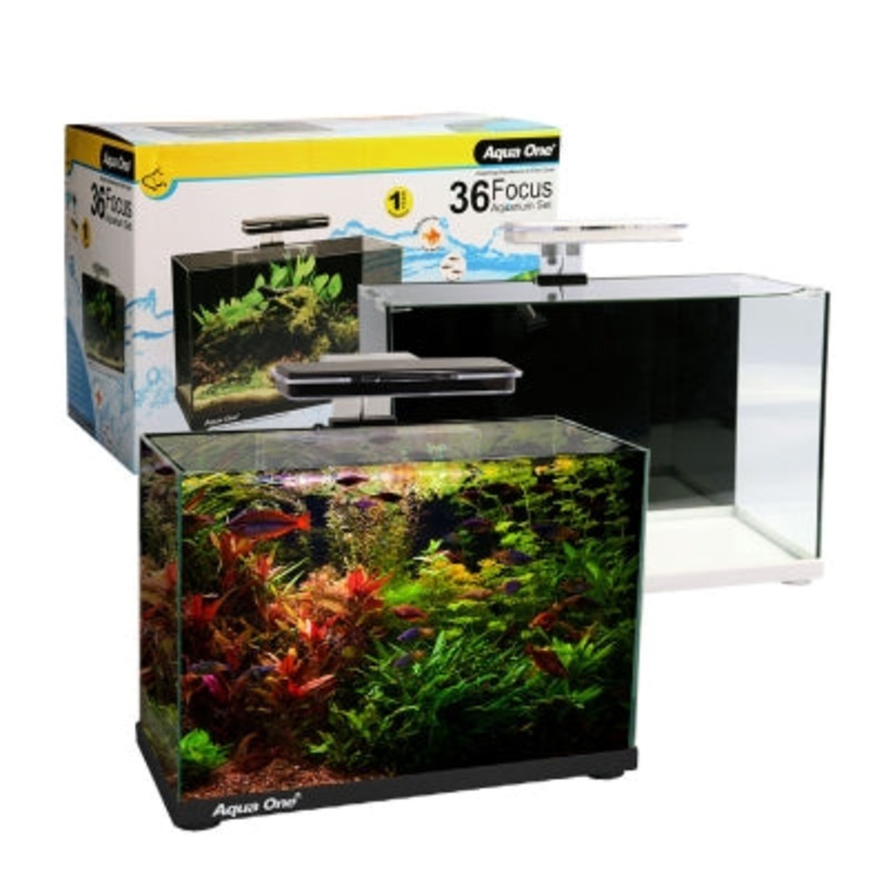 Aqua One Focus 36 Aquarium 36L Black