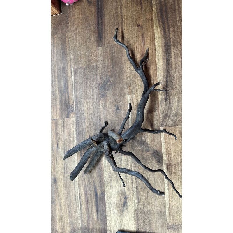 Black Indonesian Forest Wood - Large