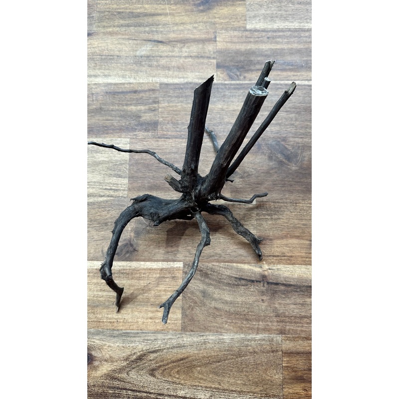 Black Indonesian Forest Wood - Medium