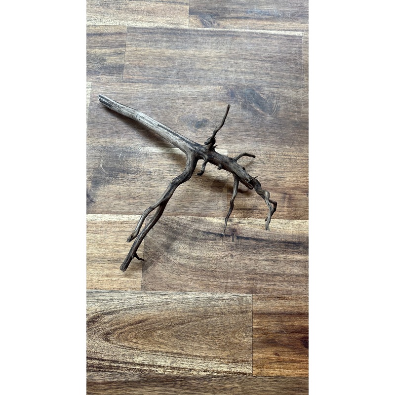 Black Indonesian Forest Wood - Small