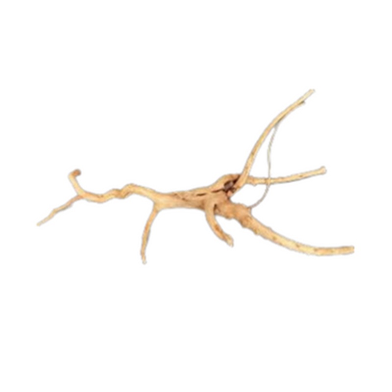 Dymax Tweety Wood Tiny