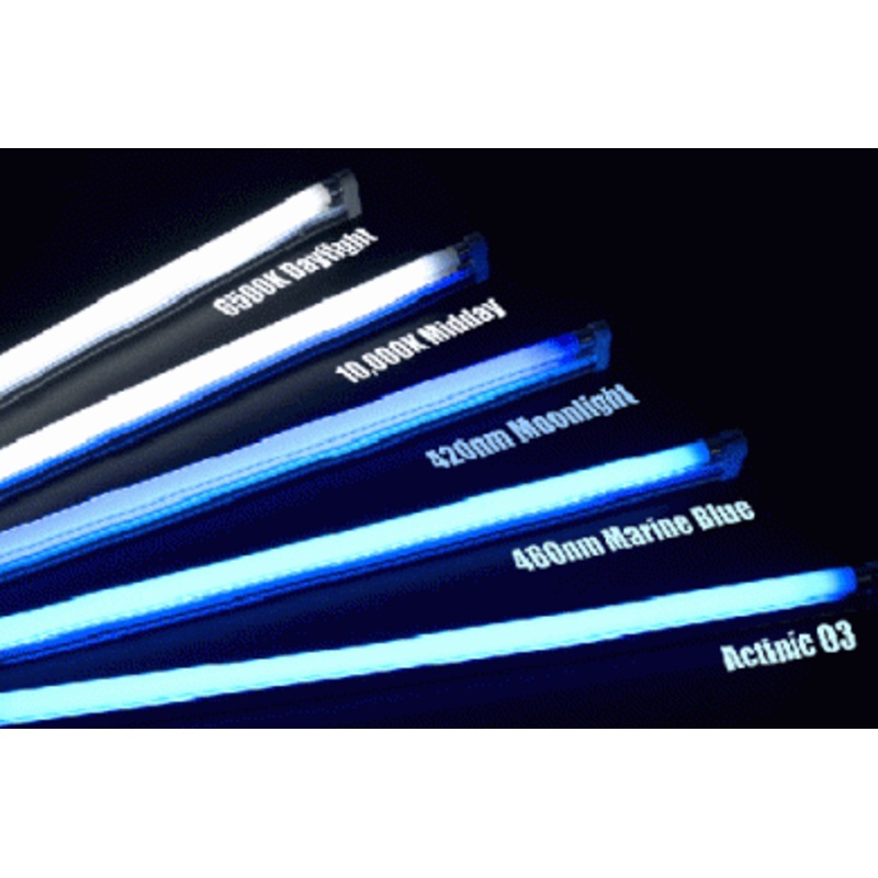 SolarMax T5 80W 11000k Midday
