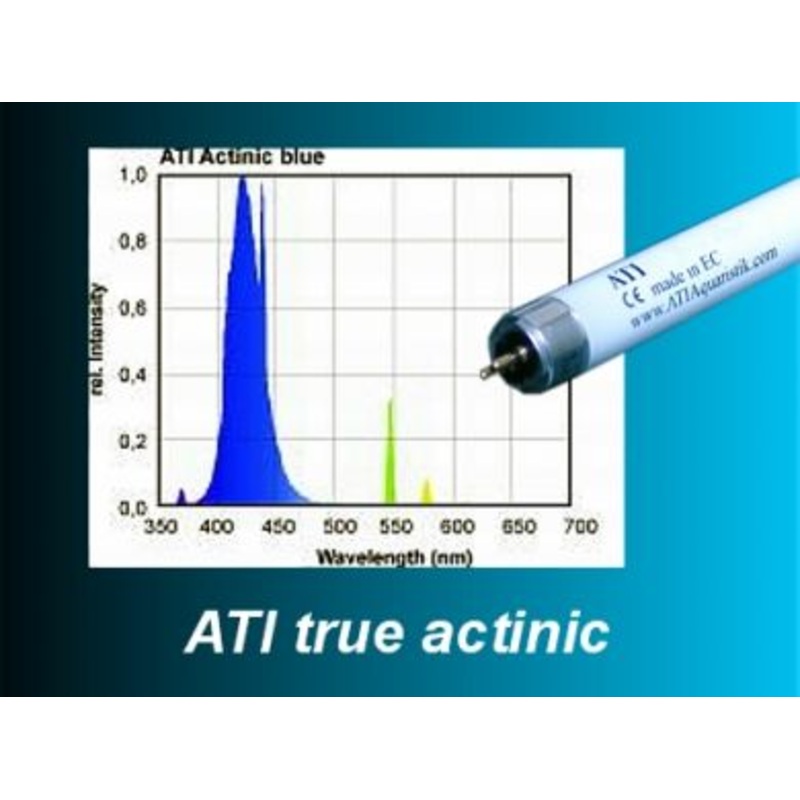 ATI True Actinic 54W