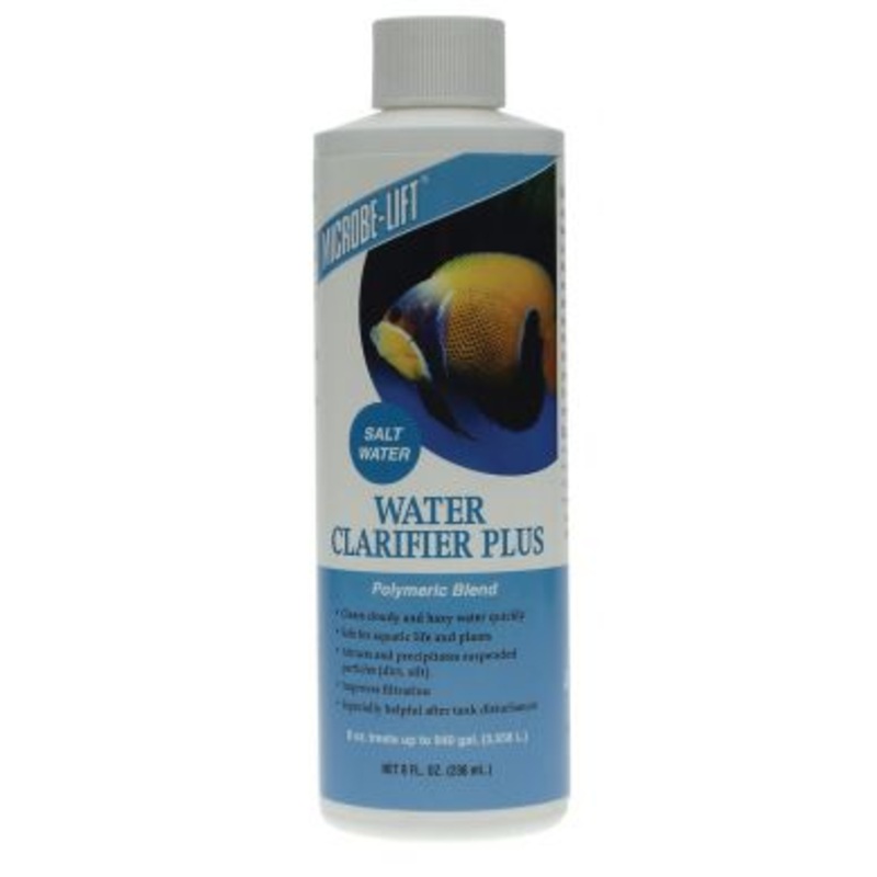 Clarifier Plus 473ml