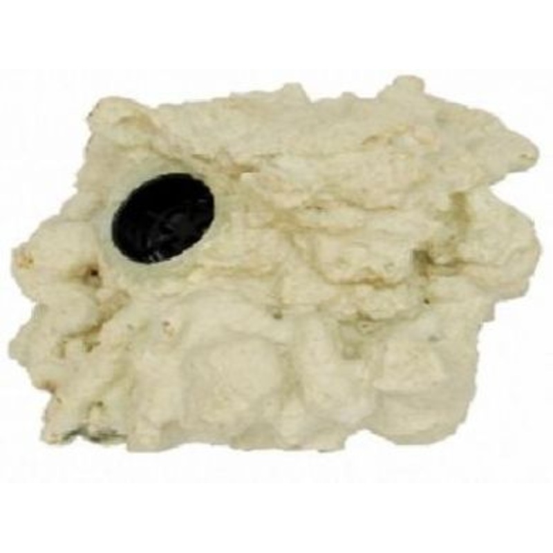 Reef Rock F02