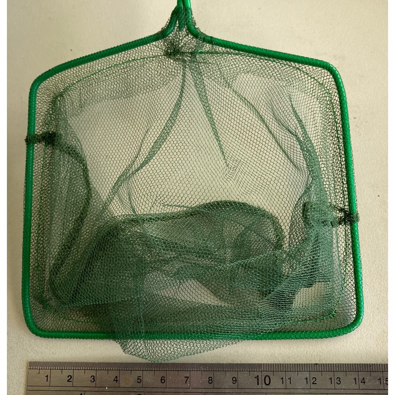 Fish Net 15cm