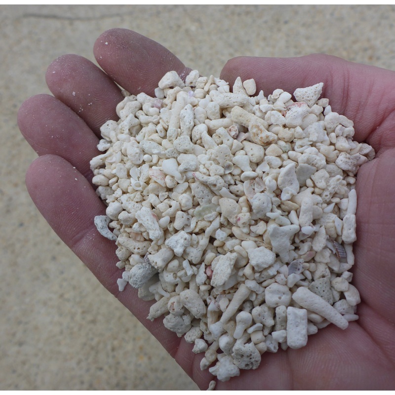 Coral Sand 3-5cm 10kg