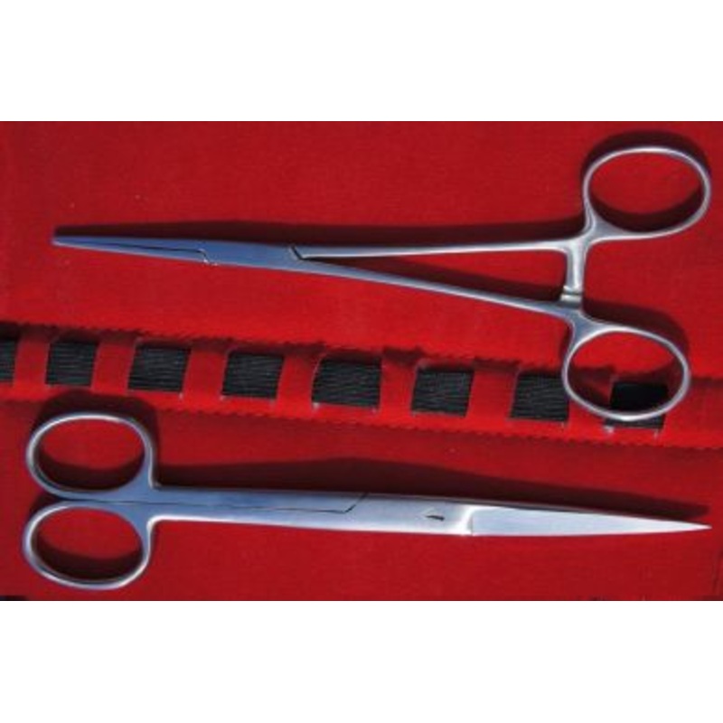 Ocean Wonders Set Of 2 x Coral Scissors  Stainless Steel