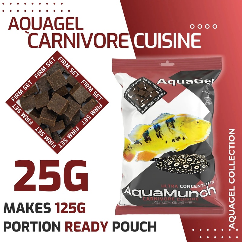 AquaMunch AquaGel Carnivore Cuisine 25g Ready Portion