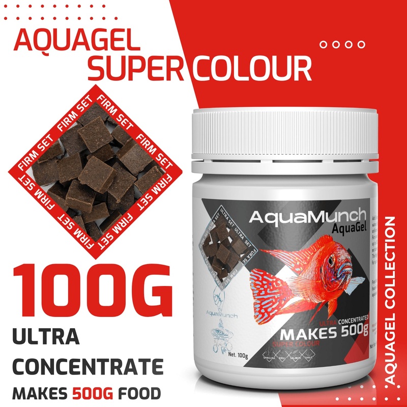 AquaMunch AquaGel Super Colour 100g Makes 500g