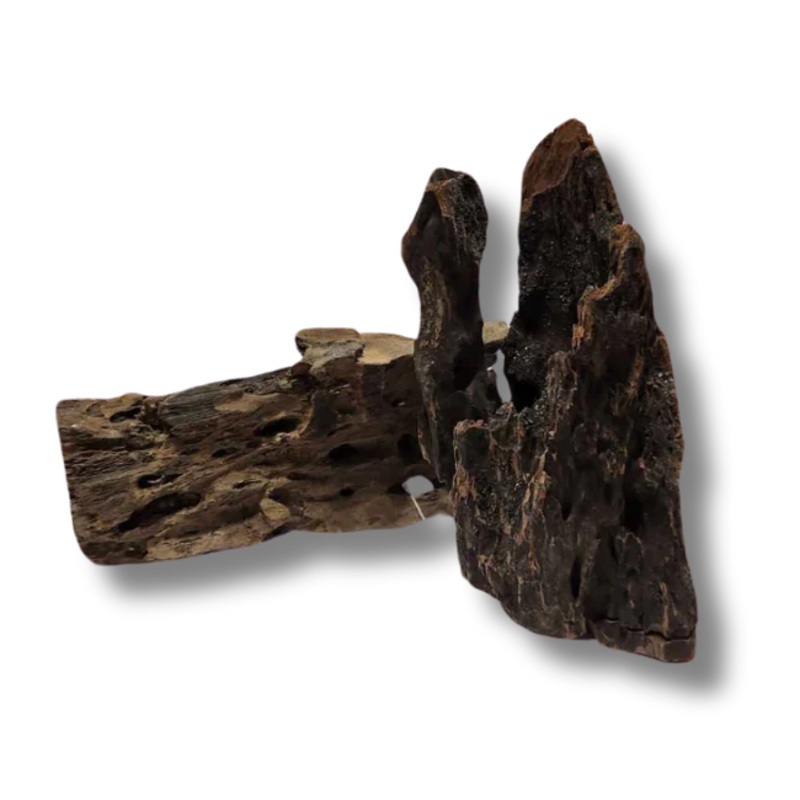Dragon Wood XL
